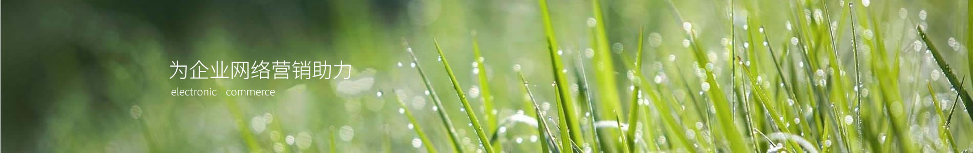 ݼе޹˾